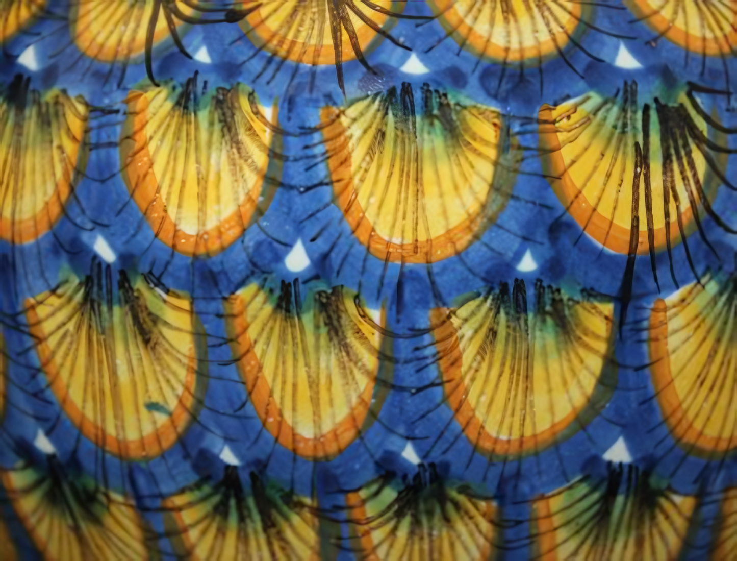 Portapianta